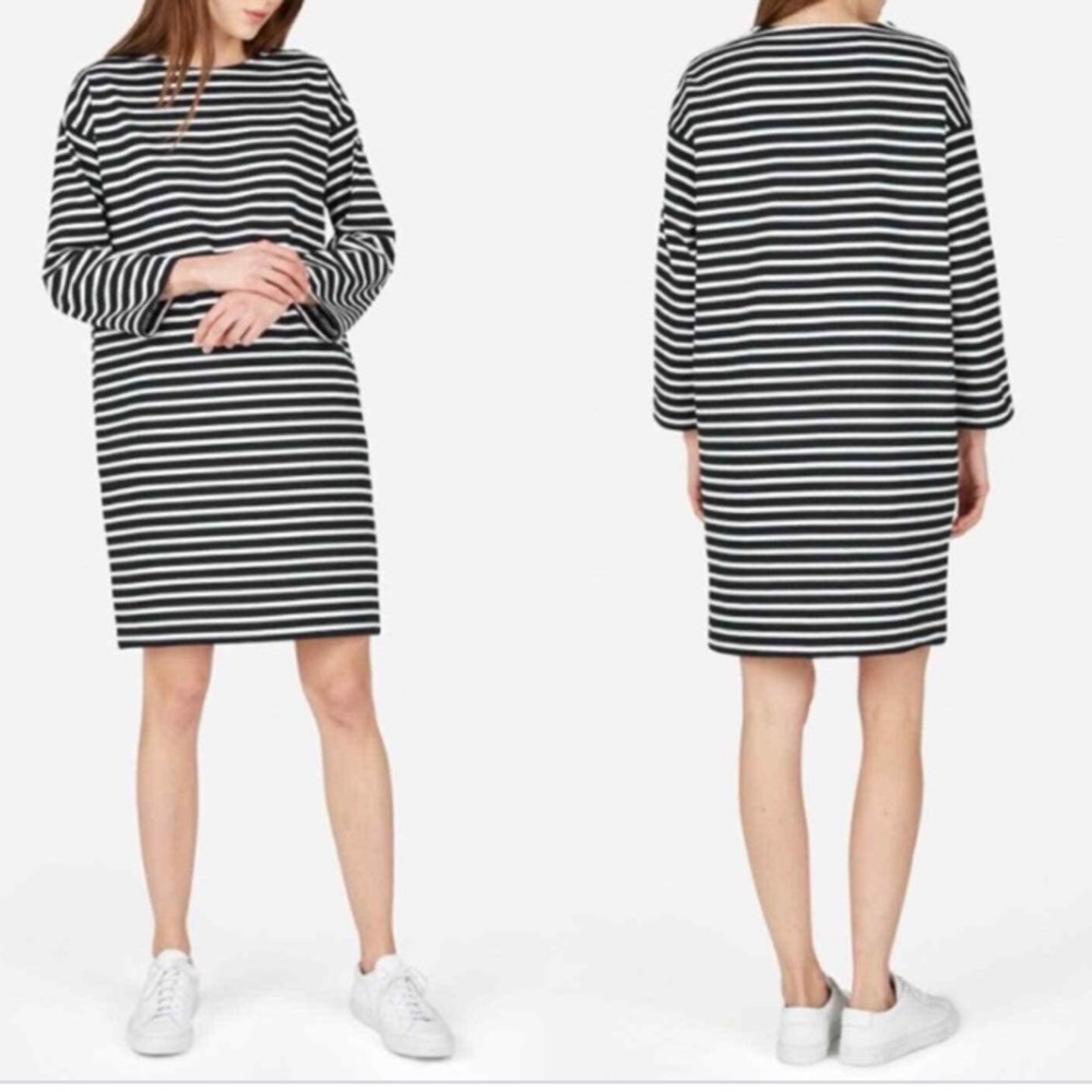 Everlane Sz S Shift Dress Striped Blue White